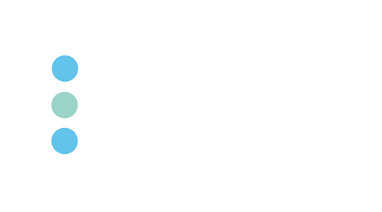 Blue Street Data Logo